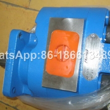 Liugong gear pump 11C0015